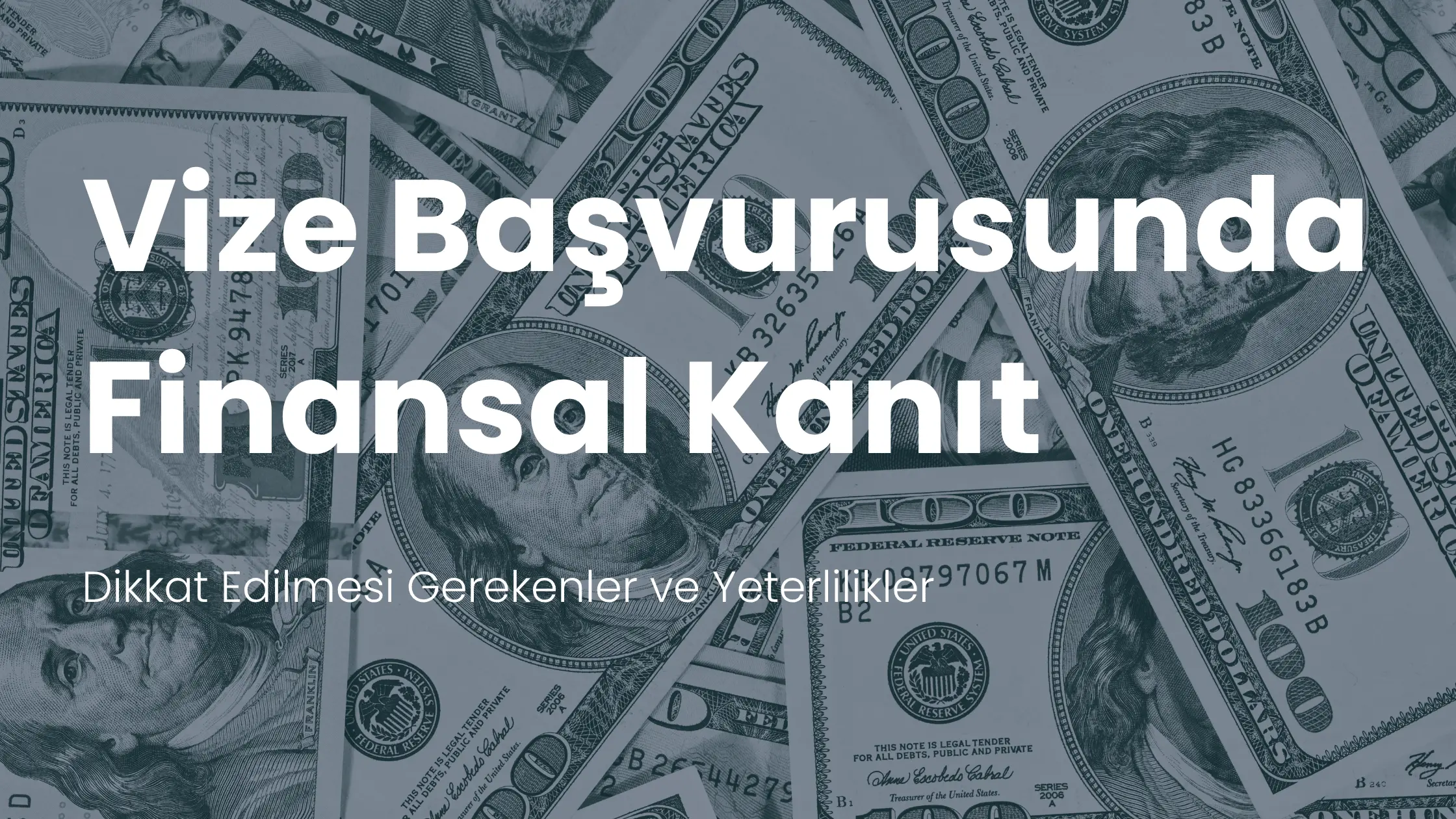 vize-basvurusu-banka-hesap-dokumu-finansal-kanit