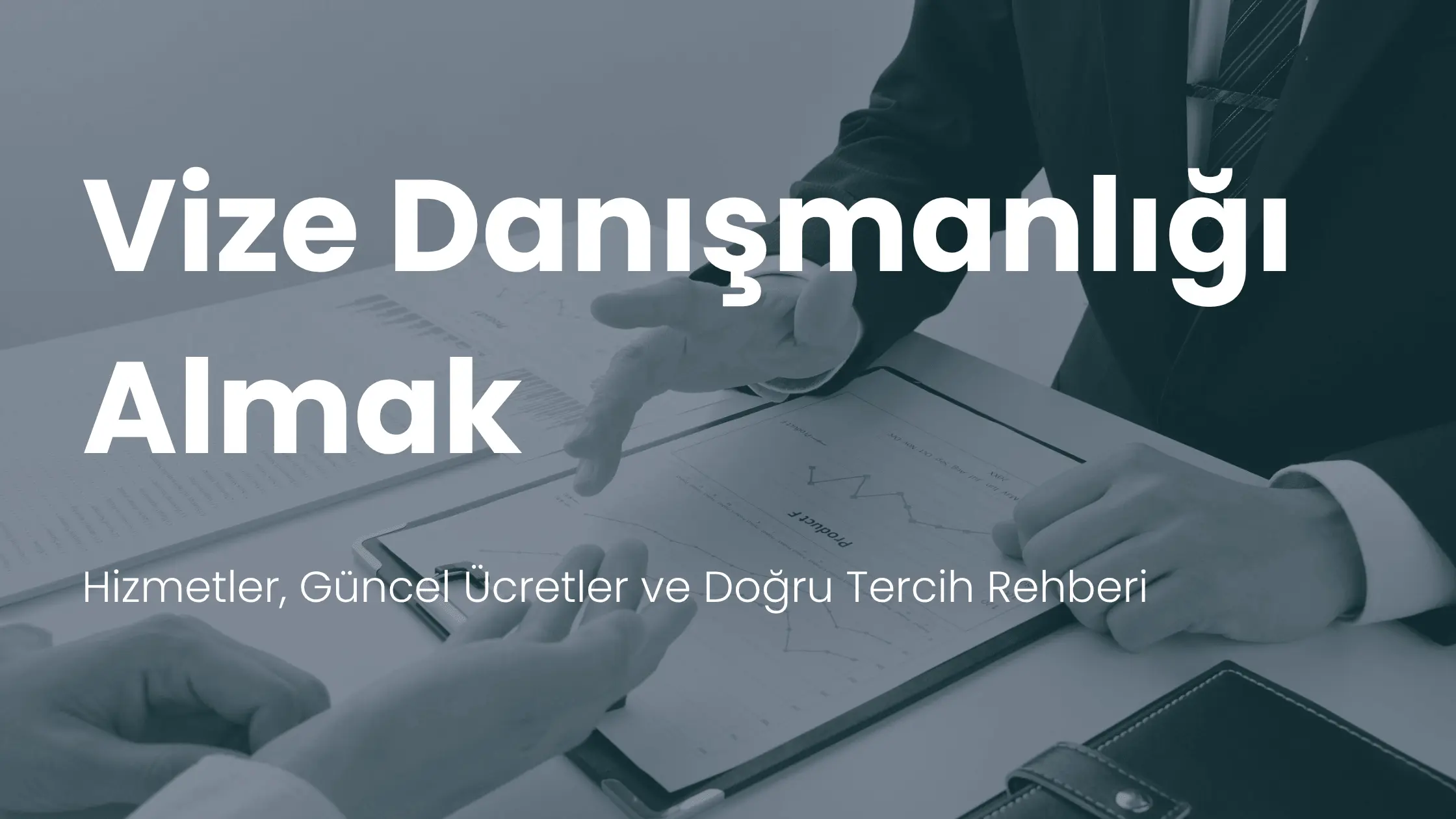 en-iyi-vize-danismanlik-sirketi-ucretleri